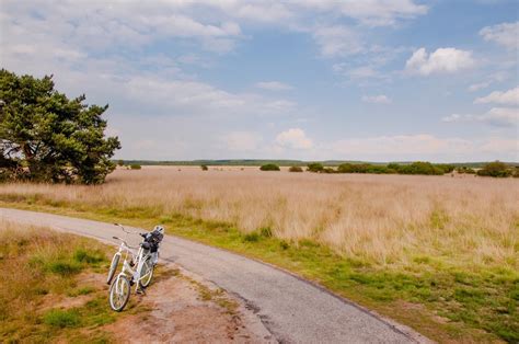 De Hoge Veluwe Bezoeken Bezienswaardigheden Info Tips