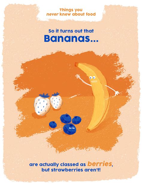 Things You Never Knew About Food Bananas Visual Ly