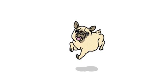 Pug Bounce Pug Cartoon Dog Animation Cute Pugs