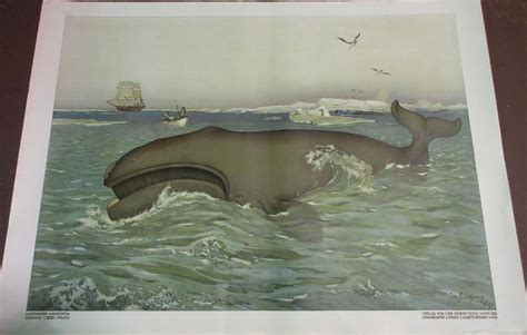 Prints Old And Rare Whales And Whaling Antique Maps And Prints