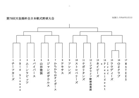 天皇賜杯第79回全日本軟式野球 美濃加茂支部大会 美濃加茂軟式野球連盟webサイト