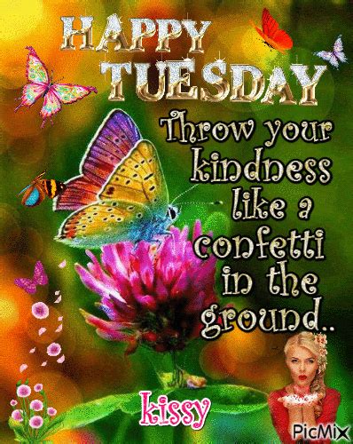 Magical Happy Tuesday  Pictures Photos And Images For Facebook