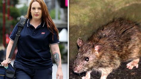 Rats Have Infested Sydneys Richest Suburbs After The Covid Lockdown