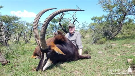 Sable Hunting Eastern Cape South Africa