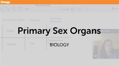 primary and secondary sex organs biology chegg tutors youtube