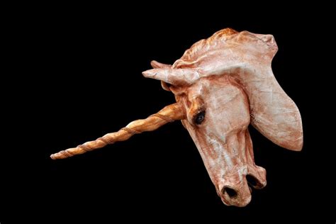 Siberian Unicorns Existed At Same Time As Humans New Fossils Confirm