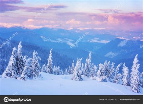 Beautiful Winter Landscape Mountains Christmas Trees Snow