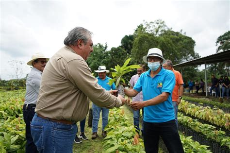 Transferencia De Tecnolog A Reciben Agricultores En Plantas De