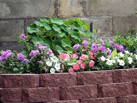Spread mortar on a brick with the trowel as if you were frosting a. 25+ Beautiful Brick Flower Bed Ideas for Front Yard ...