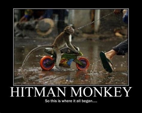 Image 28285 Hitman Monkey Know Your Meme