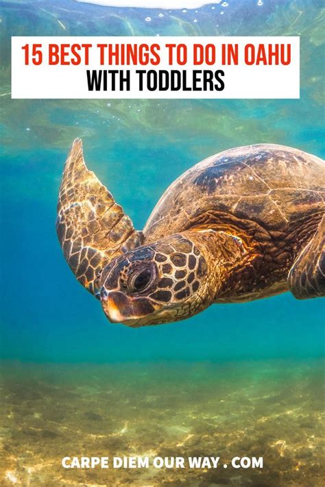 Things To Do In Oahu With Toddlers And Underwater Swimming Turtle In