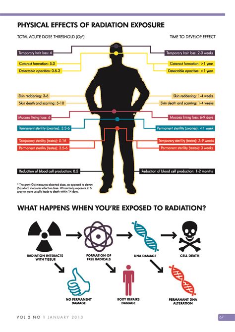 Radiation Risks Infographic 2 Radiation Exposure Radiation Infographic