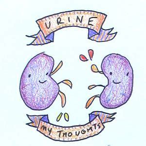 Find the newest kidney stones humor meme. kidney joke - Google Search | Medical memes, Medical humor, Nurse humor