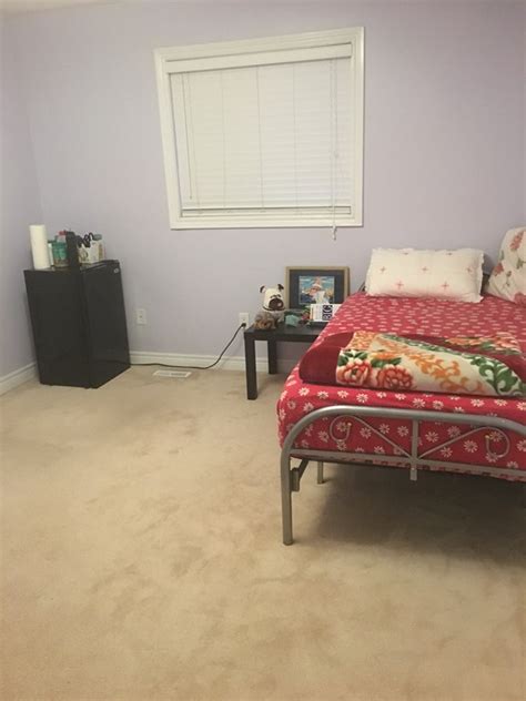 600 Per Month Room To Rent In Newmarket Available From May 6 2018