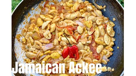 Maybe you would like to learn more about one of these? JAMAICAN ACKEE RECIPE/JAMAICAN/CARIBBEAN/VEGAN/VEGETARIAN ...