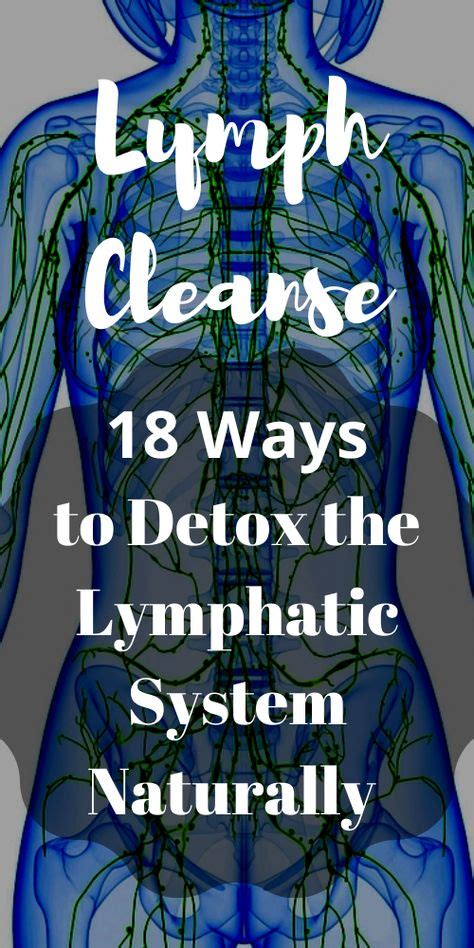 10 Best Lymph Glands Images In 2020 Lymphatic System Lymphatic