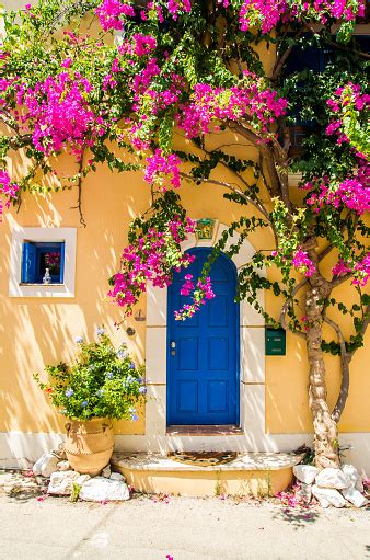 You can also download full movies from. Traditional Greek House With Flowers In Assos Kefalonia ...