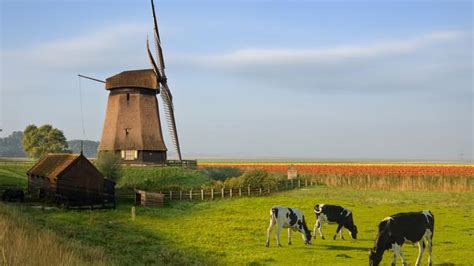 why netherlands wants to drop ‘holland in tourism makeover
