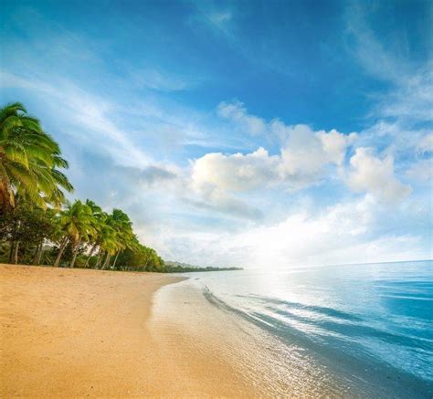 Beach Sand Sea Palm Trees Clouds Water Nature Landscape Blue