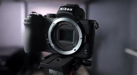 10 Best Cameras For Macro Photography Depth And Clarity