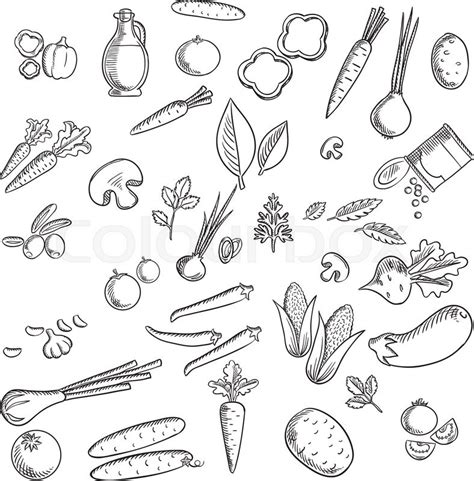 Fresh Vegetables And Herbs Sketches Stock Vector Colourbox