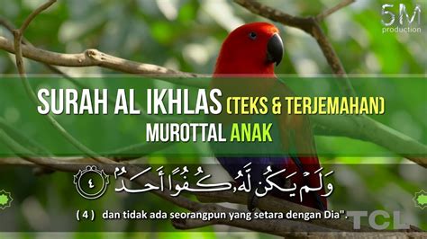 It's often referred to as absoluteness, the unity, oneness of god, sincere religion, the declaration of god's perfection. Murattal Anak : Surah Al Ikhlas (Teks & Terjemahan) FULL ...