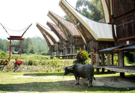 Rumah Adat Suku Toraja di Sulawesi Selatan | Kumeok Memeh ...