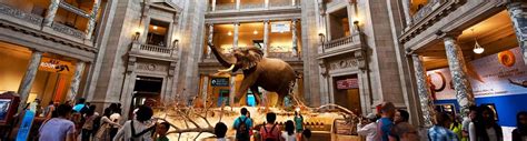Maybe you would like to learn more about one of these? Smithsonian Institution Museums in Washington, DC ...