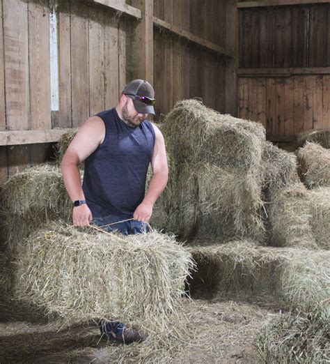 What Is The Difference Between Square And Round Hay Bales