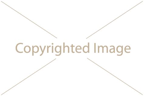 Shutterstock Watermark Png Png Image Collection