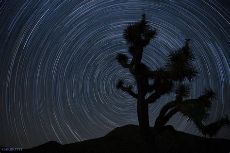 A Taste Of California Joshua Tree National Park Star Trails In The
