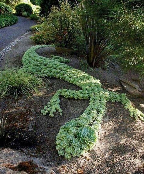 Pin By Marsha Humphreys Badgett On Beautiful Gardens Succulent