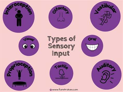 Types Of Sensory Input