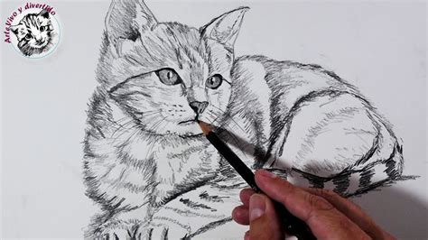 Cómo Dibujar Un Gato Realista Con Lapiz Paso A Paso Youtube