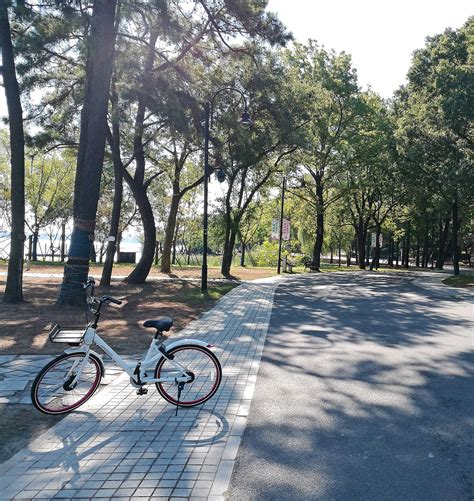Moshan Park In Wuhan East Lake Greenway China By Atlas 谷德设计网