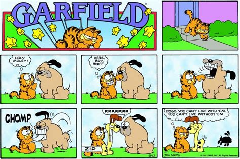 The Garfield Daily Comic Strip For August 22nd 1982 Garfield Comics