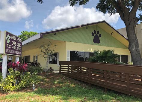 Clearwater Animal Hospital - Looking world from blog