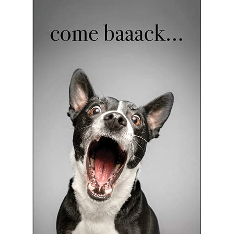 Dog Greeting Card Come Back Affirmations Publishing House