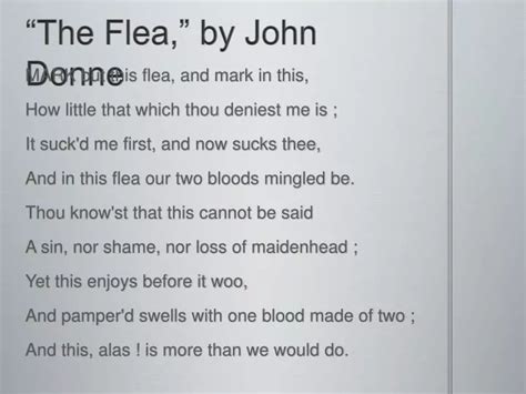 Ppt “the Flea ” By John Donne Powerpoint Presentation Free Download Id 4702419