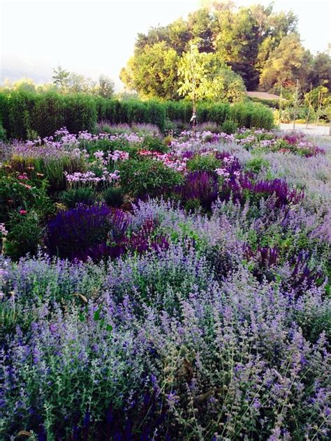 Maybe you would like to learn more about one of these? Perennial border | GARDENS | Pinterest | More Gardens ...