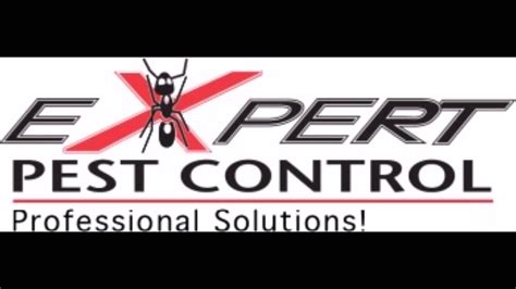 Contact the experts at local pest experts for all port macquarie pest control. Expert Pest interview - YouTube