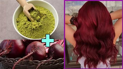 Hair Tips This Problem Of Hair Will Be Solved With Henna And Beetroot