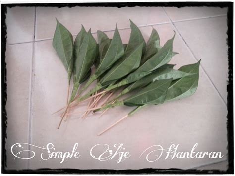 We do hope that our creations and end products meet all their expectations and would like to take this opportunity to wish all of them, ' selamat pengantin baru '. Simple Aje Hantaran: Tutorial 018: Sireh Junjung Ros Pink