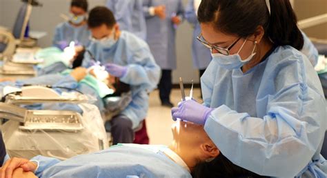 How High School Students Can Prepare For Dental School Now College Of