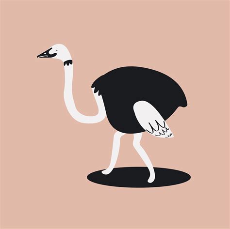 Cute Wild Common Ostrich Cartoon Illustration Download Free Vectors