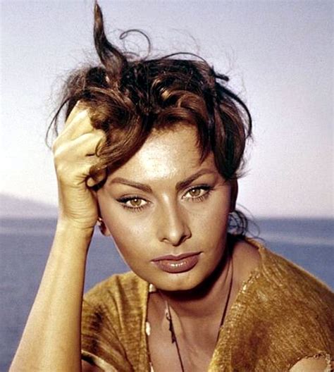 Sophia Loren Sophia Loren Attori Celebrità
