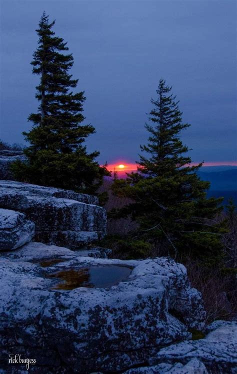 Dolly Sods At Sunrise West Virginia Scenery Nature