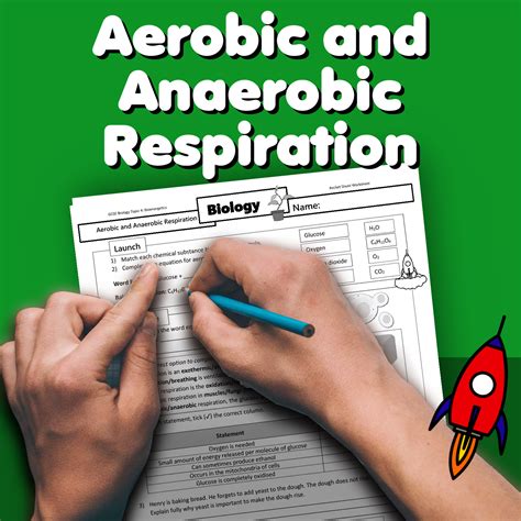 Aerobic And Anaerobic Respiration Worksheet Gcse Uk