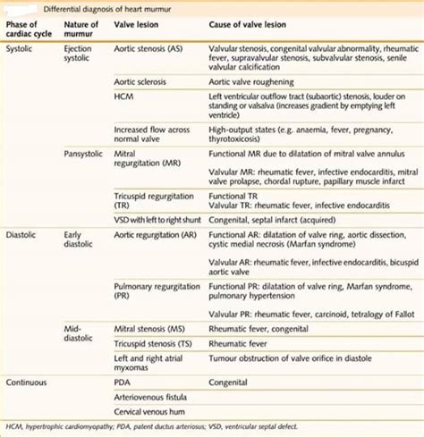 What can cause a heart murmur. Study Medical Photos: A Brief Discussion On Heart Murmurs