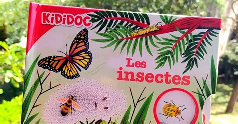 Mademoiselle Coralie Kididoc Les Insectes Éditions Nathan